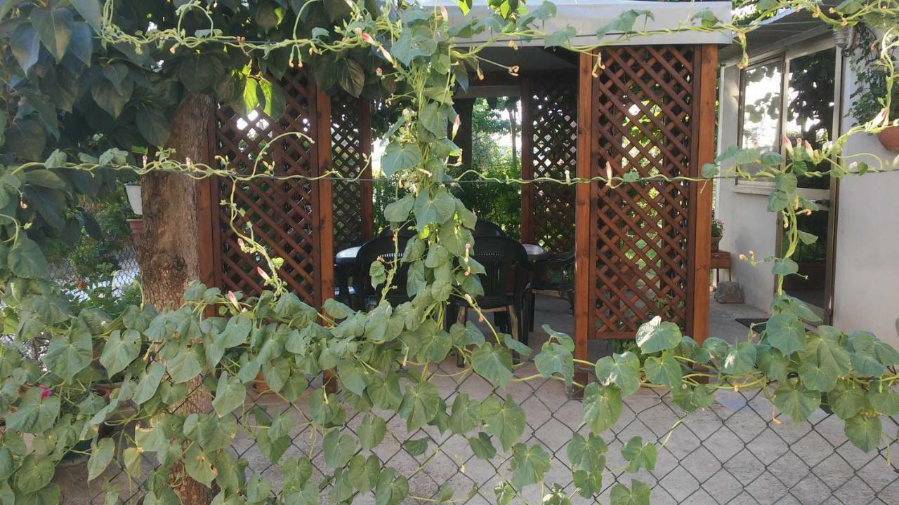 Camere Rosignoli Асизи Екстериор снимка